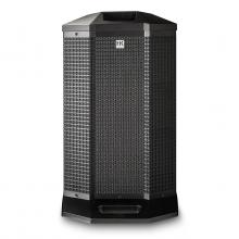 POLAR 10